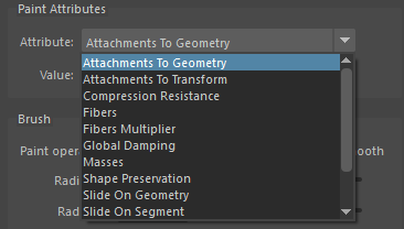 Paint Tool Muscle Attributes example